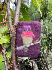 Image 1 of Flashy Hummingbird