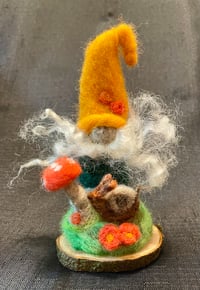 Image 1 of Windblow Gnomey