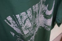 Image 4 of PTT - Kelp