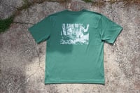 Image 2 of PTT - Kelp