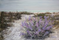 Lupine On The Beach