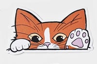 Image 3 of Kitty Cat Car Peekers