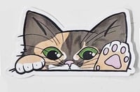 Image 5 of Kitty Cat Car Peekers