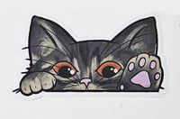 Image 6 of Kitty Cat Car Peekers