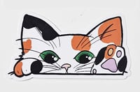 Image 7 of Kitty Cat Car Peekers