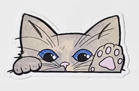 Image 9 of Kitty Cat Car Peekers