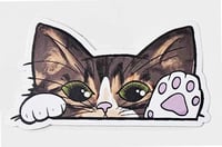 Image 13 of Kitty Cat Car Peekers