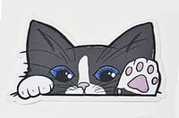 Image 12 of Kitty Cat Car Peekers