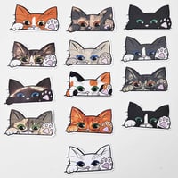 Image 1 of Kitty Cat Car Peekers