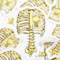Ribcage Light