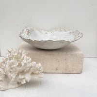 Image 3 of La Concha Bowl Wide Coral
