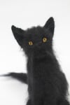 Black fluffy felted kitten