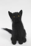 Black fluffy felted kitten