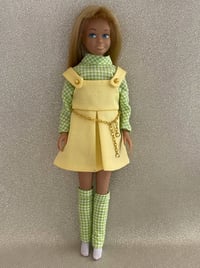 Image 1 of Skipper - Confetti Cutie - Gingham Variation