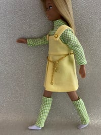 Image 3 of Skipper - Confetti Cutie - Gingham Variation