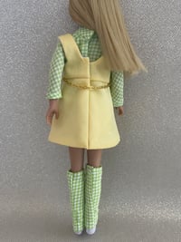 Image 4 of Skipper - Confetti Cutie - Gingham Variation