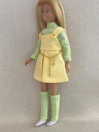 Image 6 of Skipper - Confetti Cutie - Gingham Variation