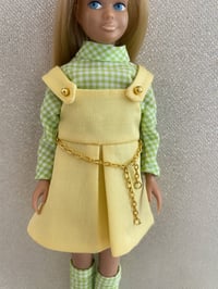 Image 2 of Skipper - Confetti Cutie - Gingham Variation