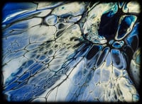 Image 3 of MacaW 6x12"