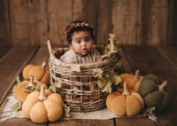 Image 1 of Autumn set with pumpkins