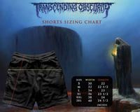 Image 2 of MONUMENT OF MISANTHROPY - Emblem Logo Shorts