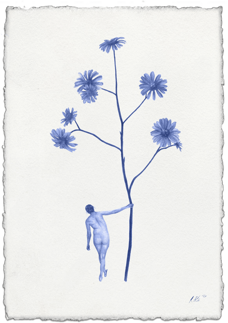 Image of Azulejo - Print