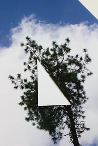 Image 2 of Limited Edition Print /  Pine Flag, 2024