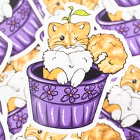 Image 1 of Flower Pot Bean