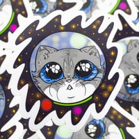 Image 1 of Space Catdet