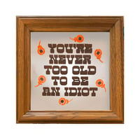 Image 1 of Too Old Idiot Mirror