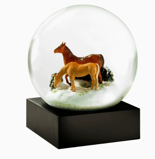 Image of Snow Globes! (7 Kinds)