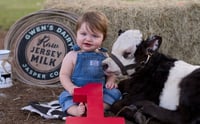 Image 1 of Professional photos with our brand new baby highland cow! 