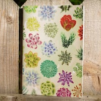 Image 1 of So Many Succulents! Sticker Book