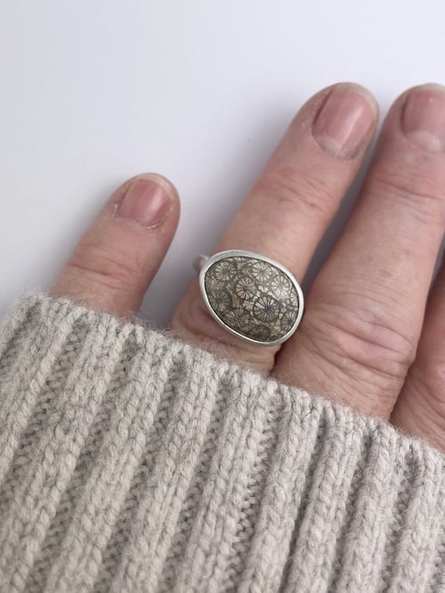 Image of FOSSILISED CORAL RING