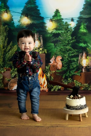 Image of WOODLAND CRITTER CAKESMASH