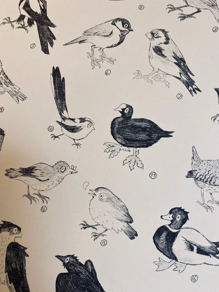 common birds a4 print Image 2