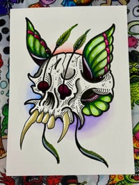 Skullerfly