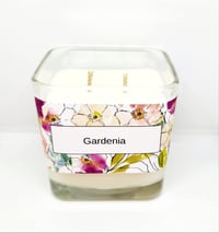 Gardenia