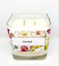 Orchid