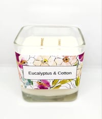 Eucalyptus Cotton 