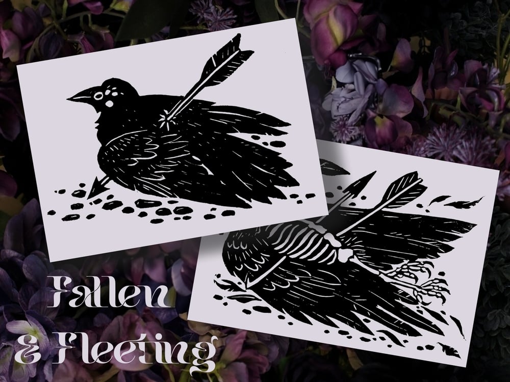 Image of Fallen & Fleeting