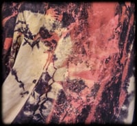 Image 9 of BLANKZ Long Sleeve (XLT)