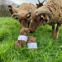 Image 6 of Knit Kit: Beanie in British Rare Breed wool