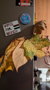 Image 4 of TUTORIAL - Egg Box Crafts & Leaf Bunting - Homemade Hallowe'en
