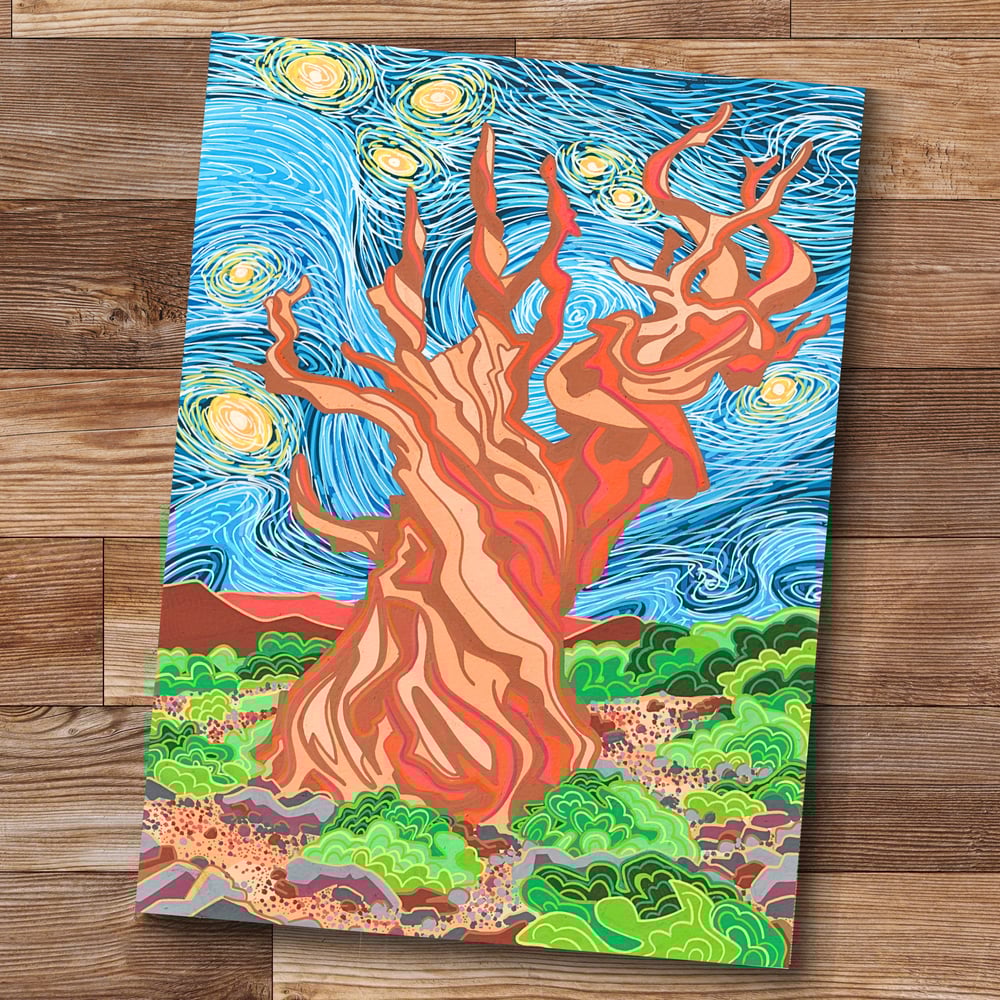 Image of Starry Night Over Methuselah