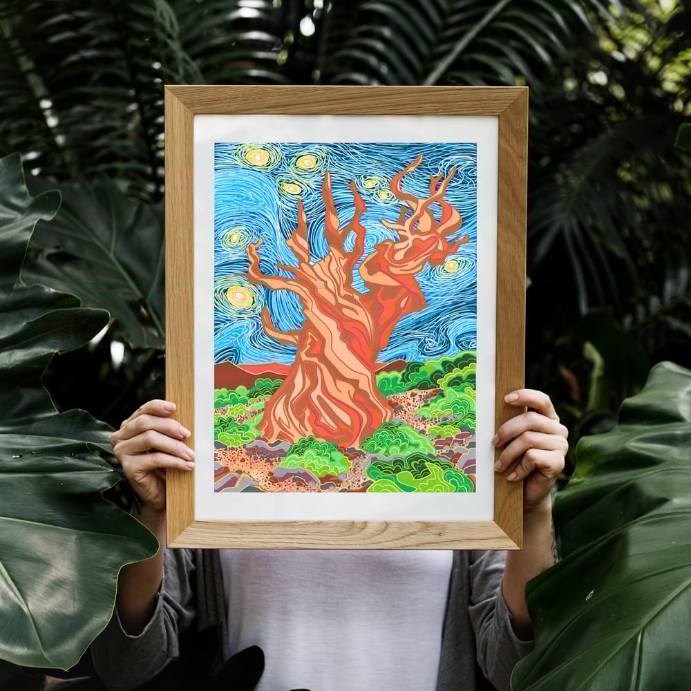 Image of Starry Night Over Methuselah