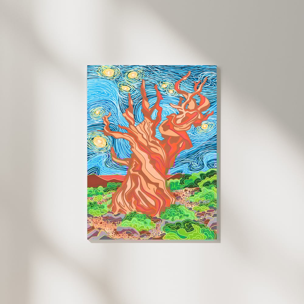 Image of Starry Night Over Methuselah