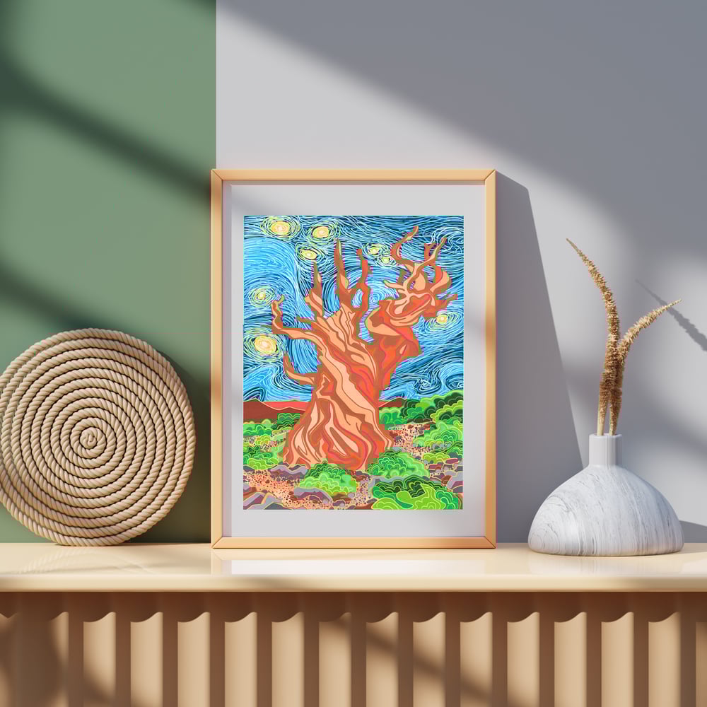 Image of Starry Night Over Methuselah