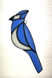 Blue Jay 