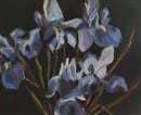 Image 2 of Nature morte aux iris